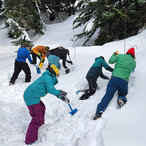 group digging in snow
