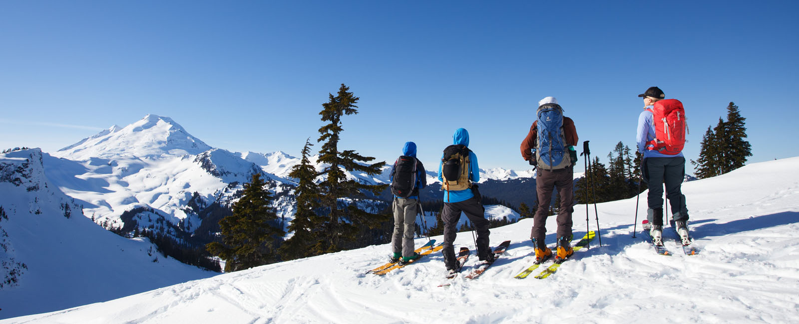 backcountry travelers looking at snowy peak